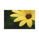 Wrapped canvas flower photography print artwork canvas prints