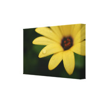 Wrapped canvas flower photography print artwork