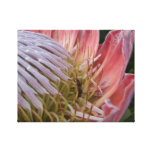 Wrapped canvas with flower and bee canvas prints
