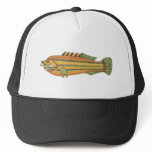 Wrasse Fish Hats