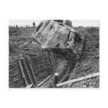 Wrecked Panzer postcards