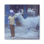 Wrecked 'Um Biting Llama "Hues" Magnet