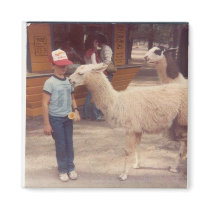 Wrecked 'Um Biting Llama Magnets