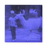 Wrecked 'Um Blue Biting Llama Magnet