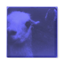 Wrecked 'Um Blue Llama Square Magnet