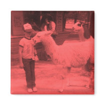 Wrecked 'Um Red Biting Llama Magnet