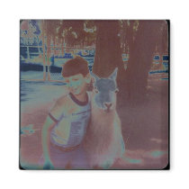 Wrecked 'Um Solarised Llama Hug Magnet