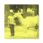 Wrecked 'Um Yellow Biting Llama Magnet