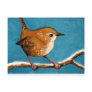 WREN IN OIL PASTEL POST CARDS