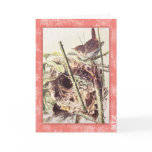 Wren vintage Christmas card