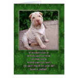 Wrinkled Brow cards