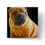 Wrinkles, The Chinese Shar Pei Puppy Dog buttons