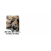Wrinkly Doggies Mugs