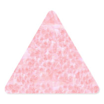 Write-on Light-shade RedRose Flowers Triangle Stickers