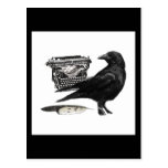 Writer Crow postcard