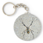 Writing Spider Keychain