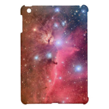 Written in The Stars iPad Mini Case