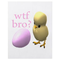 WTF Bro Full Color Flyer