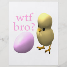WTF Bro Full Color Flyer