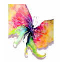 Wunderfly t-shirts