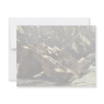 WW II Landing Craft Wreck on Amchitka Island invitations