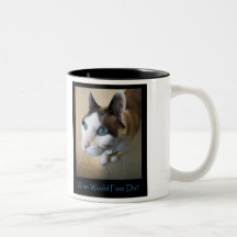 WWFD? Mug