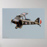 WWI Biplane posters