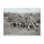 WWI Soldiers Postcard