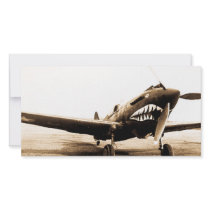 WWII Flying Tigers Curtiss P-40 Fighter Plane