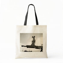 WWII USCG Dog named Kelly bags
