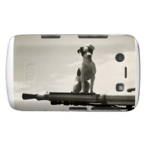 WWII USCG Dog named Kelly casemate cases