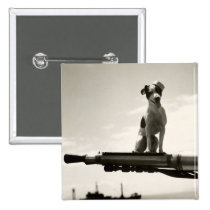 WWII USCG Dog named Kelly buttons