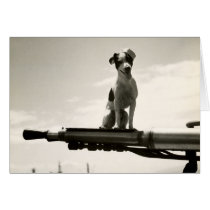 WWII USCG Dog named Kelly cards