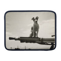 WWII USCG Dog named Kelly ipad sleeves