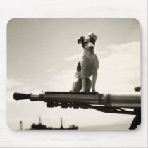 WWII USCG Dog named Kelly mousepads