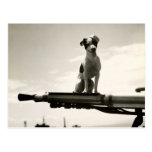WWII USCG Dog named Kelly Post Card