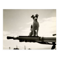 WWII USCG Dog named Kelly postcards