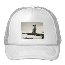 WWII USCG Dog named Kelly hats