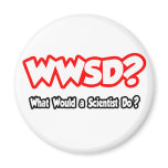 WWSD...What Would a Scientist Do? magnets
