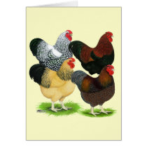 Wyandotte:  Rooster Assortment Greeting Card