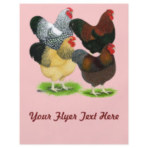 Wyandotte:  Rooster Assortment Flyer