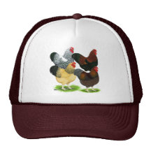 Wyandotte:  Rooster Assortment Trucker Hat