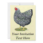 Wyandotte:  Silver-laced Hen Personalized Invitation