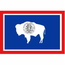 Wyoming Flag Keychain Cut Out
