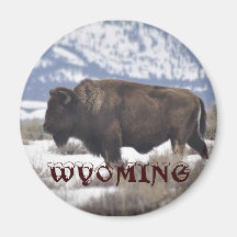 Wyoming Fridge Magnets