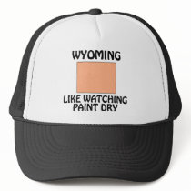 Wyoming - Like Watching Paint Dry Mesh Hats
