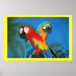X Marks the Spot Parrots posters