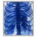 X-Ray  Blue Female t-shirts