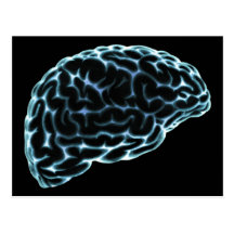 X-RAY BRAIN SIDE VIEW BLUE POST CARD