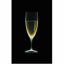 X-RAY CELEBRATION CHAMPAGNE Original + Negative